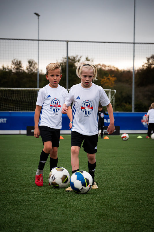 Small group training